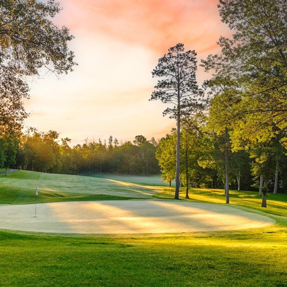 Grand View Lodge — The Pines