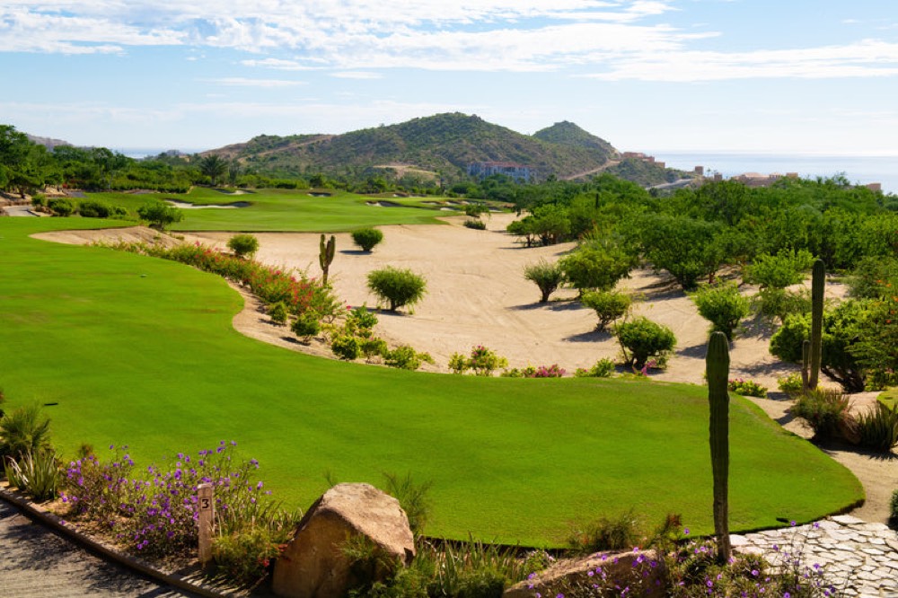 Cabo del Sol — Desert Course