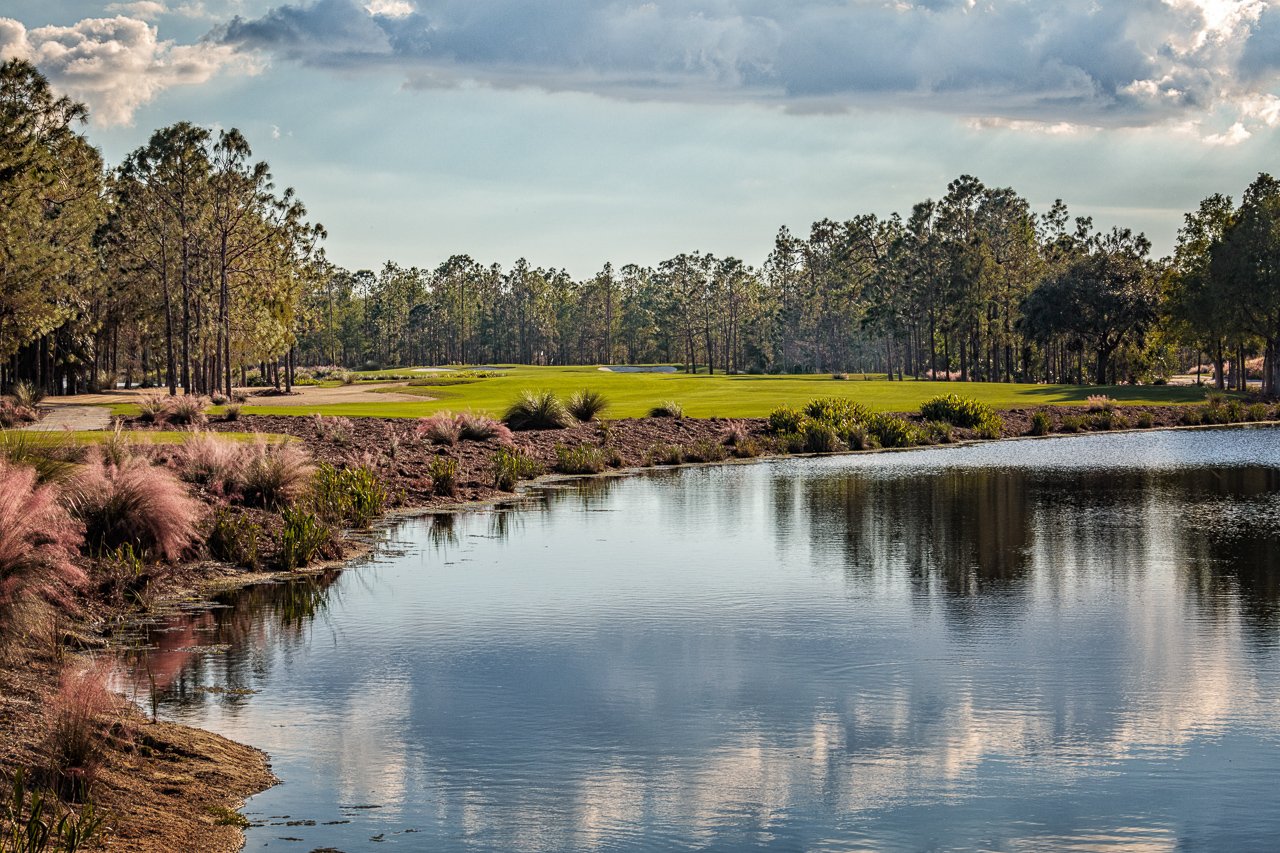 Tiburón Golf Club — Black Course