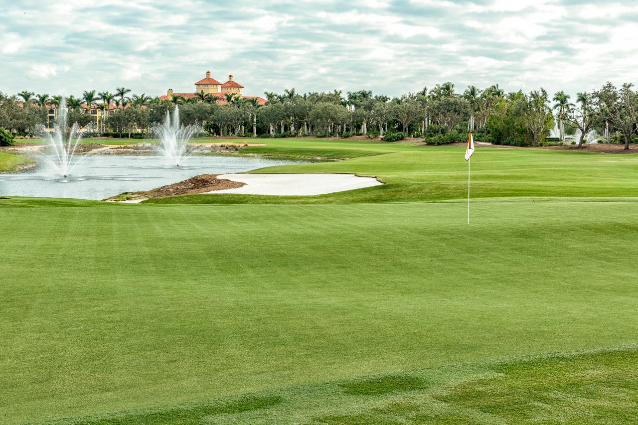 Tiburón Golf Club — Gold Course