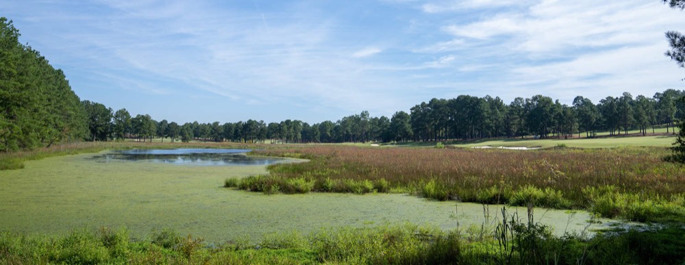Pinehurst No. 8