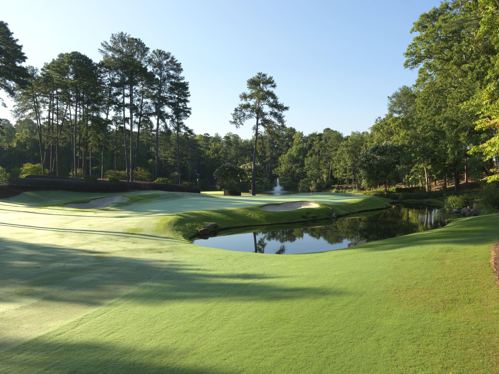 The Preserve