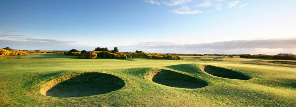 The New Course