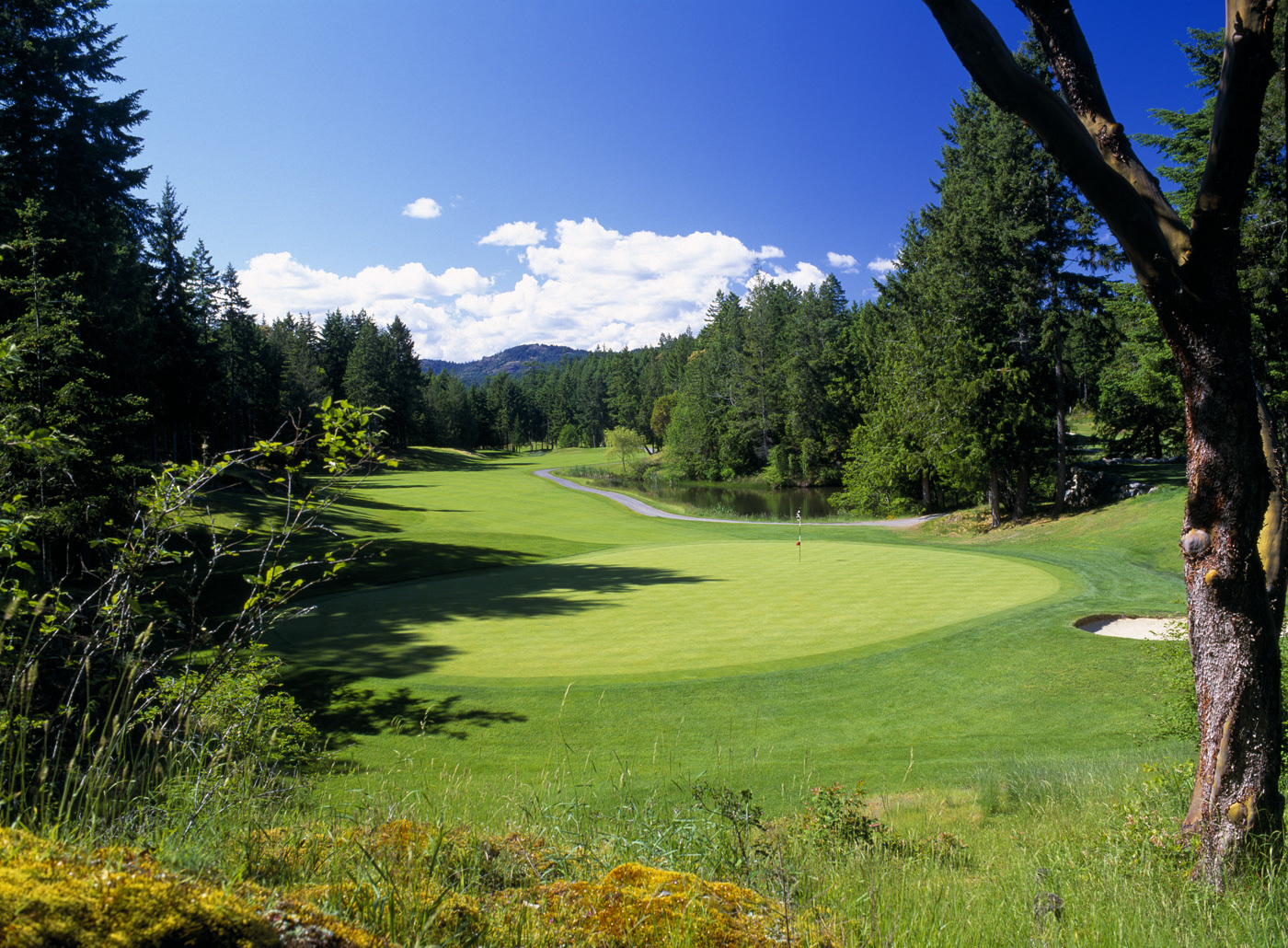 Olympic View Golf Club