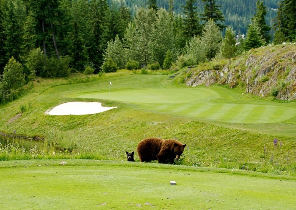 Fairmont Chateau Whistler Golf Club